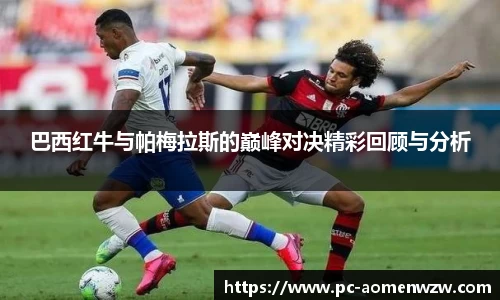 巴西红牛与帕梅拉斯的巅峰对决精彩回顾与分析