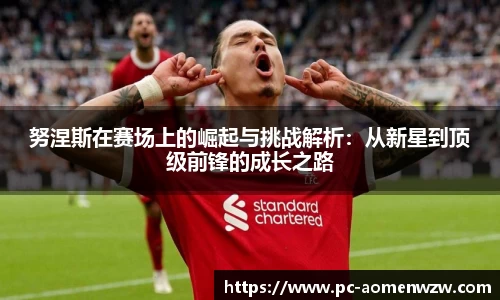 努涅斯在赛场上的崛起与挑战解析：从新星到顶级前锋的成长之路