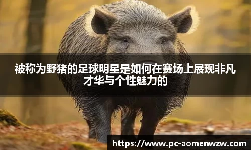 被称为野猪的足球明星是如何在赛场上展现非凡才华与个性魅力的