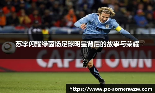 苏字闪耀绿茵场足球明星背后的故事与荣耀